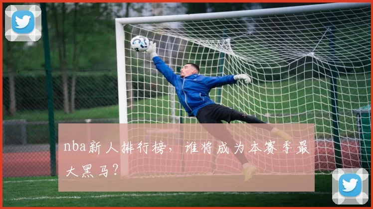 nba新人排行榜,谁将成为本赛季最大黑马?